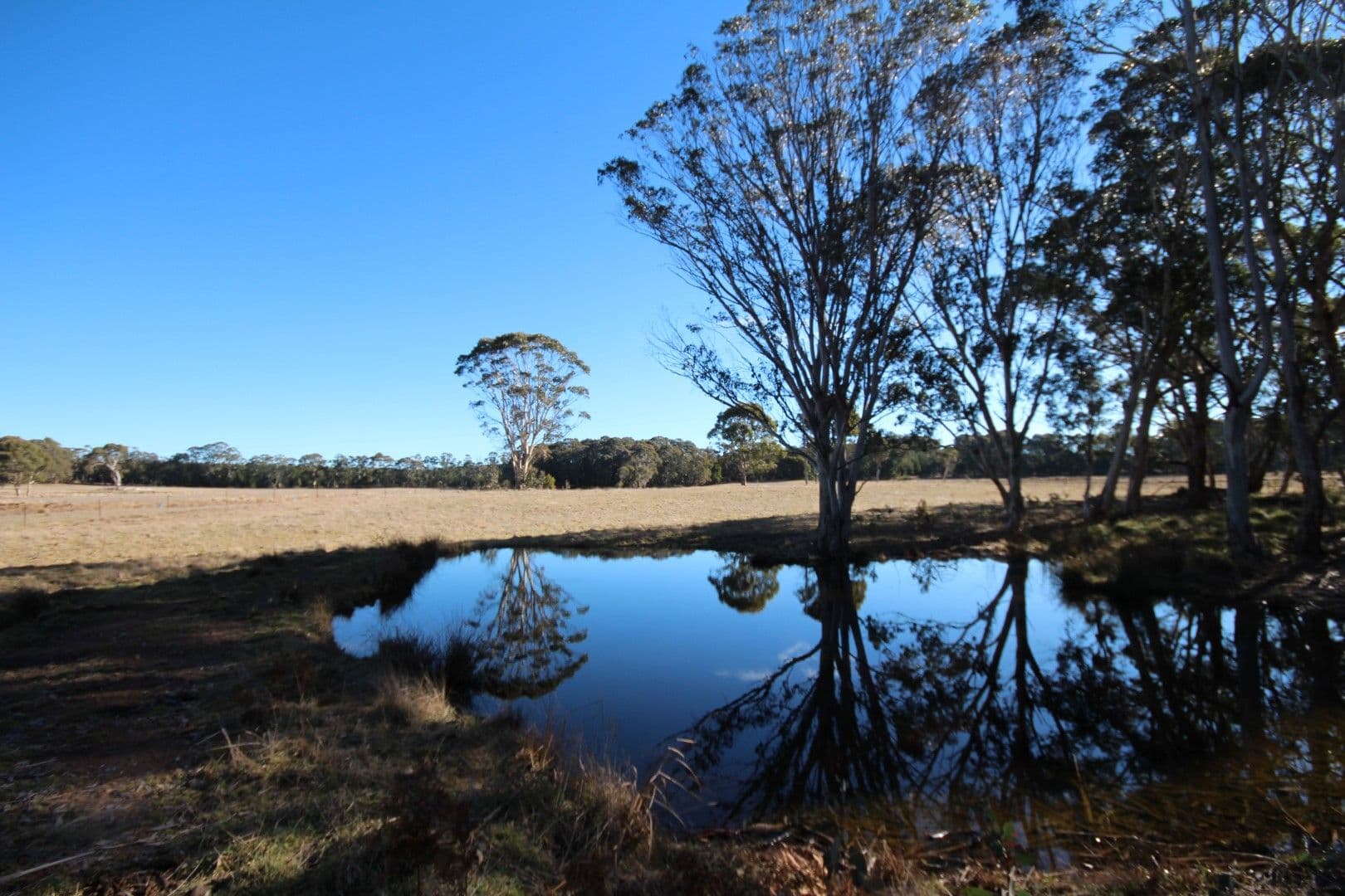 101 Tuglow Road, Oberon NSW 2787, Oberon - Thumbnail 8