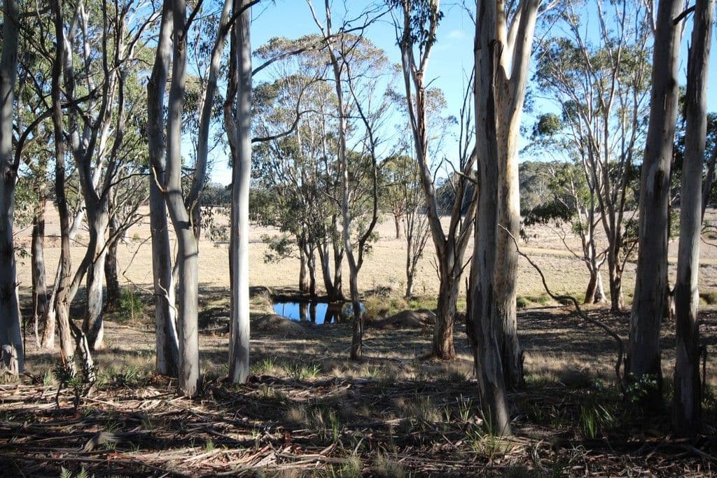 101 Tuglow Road, Oberon NSW 2787, Oberon - Thumbnail 7