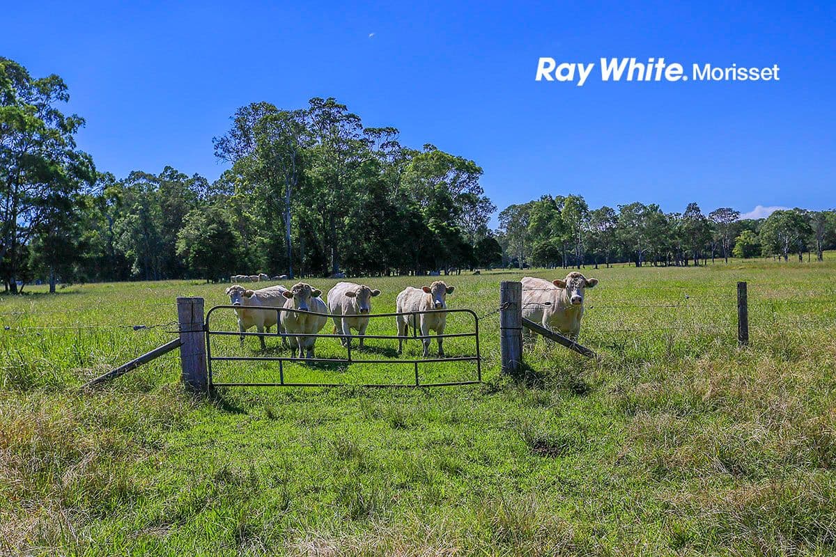 175 Manhire Road, Wyee NSW 2259, Wyee - Thumbnail 3