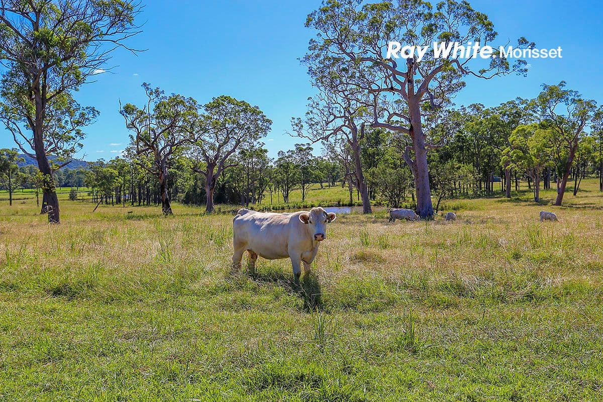 175 Manhire Road, Wyee NSW 2259, Wyee - Thumbnail 6