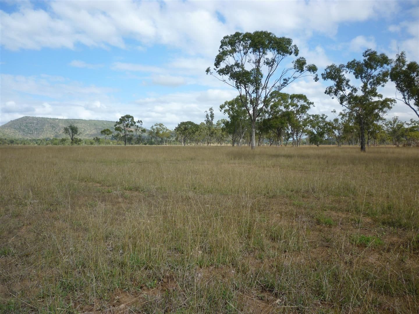 64 Murphy Road, Kabra QLD 4702, Kabra - Thumbnail 2