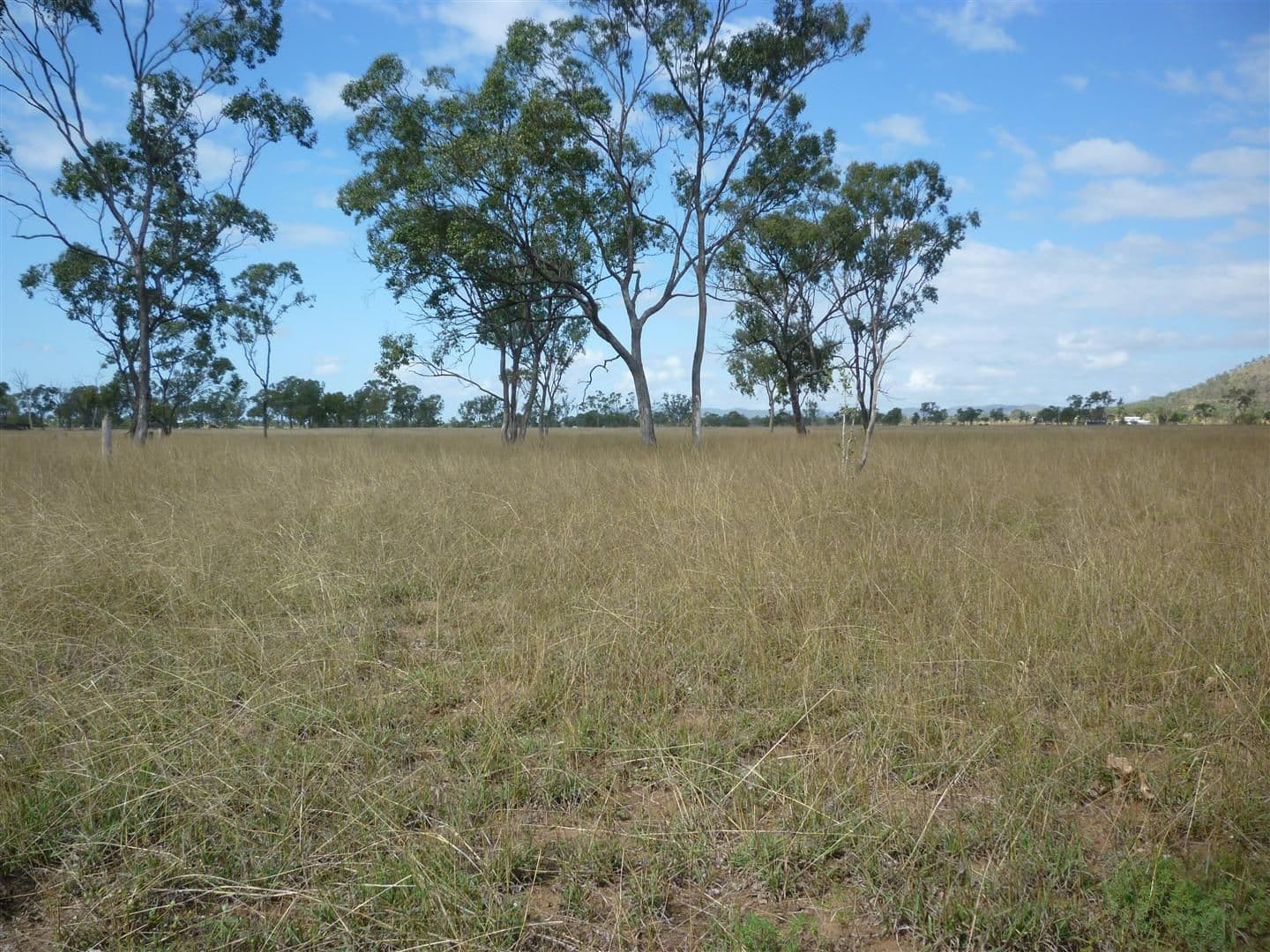64 Murphy Road, Kabra QLD 4702, Kabra - Thumbnail 3