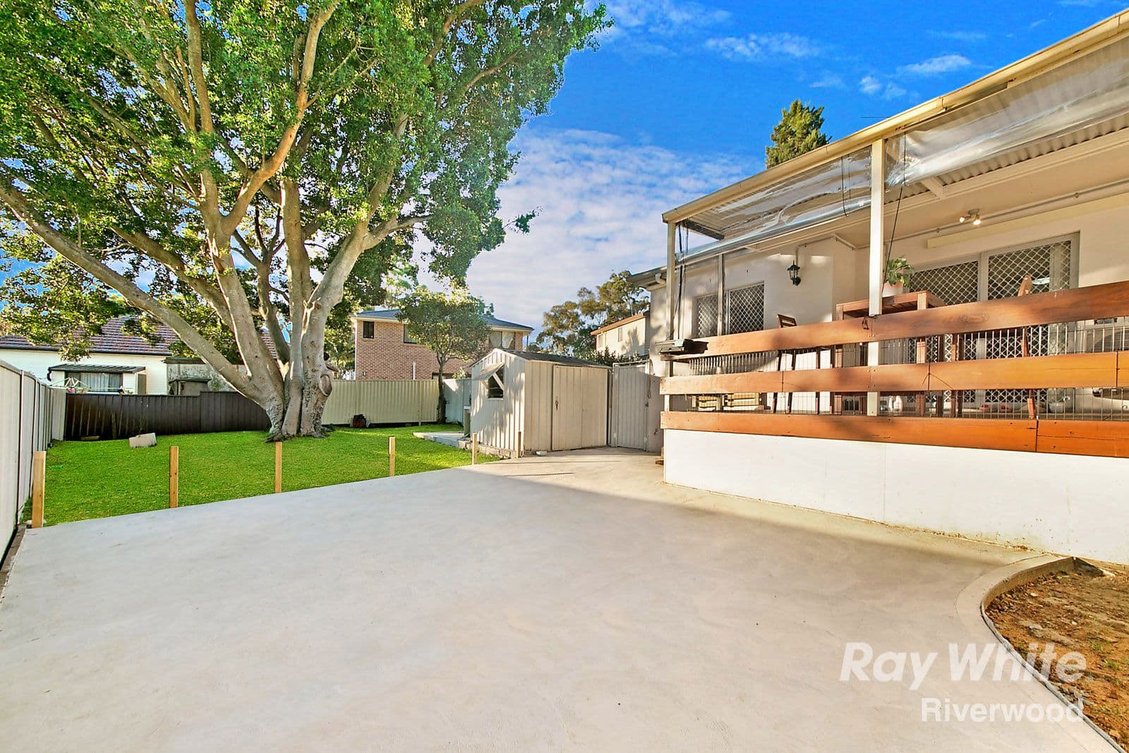 16 Basil Street, Riverwood NSW 2210, Riverwood - Thumbnail 5