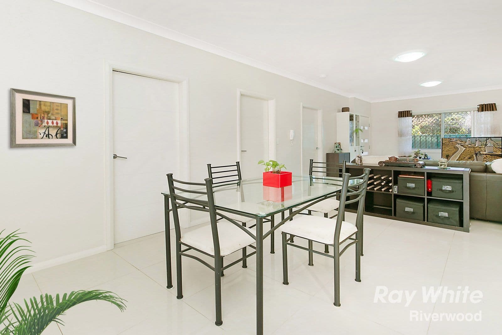 16 Basil Street, Riverwood NSW 2210, Riverwood - Thumbnail 3