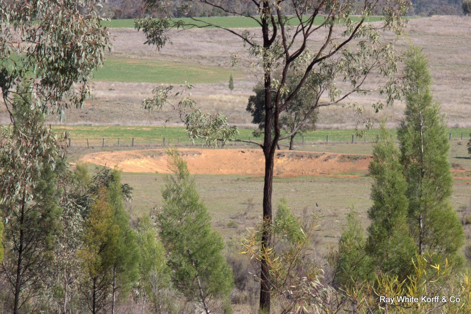 LOT 7 162 WERRIBEE Road, Premer NSW 2381, Premer - Thumbnail 4