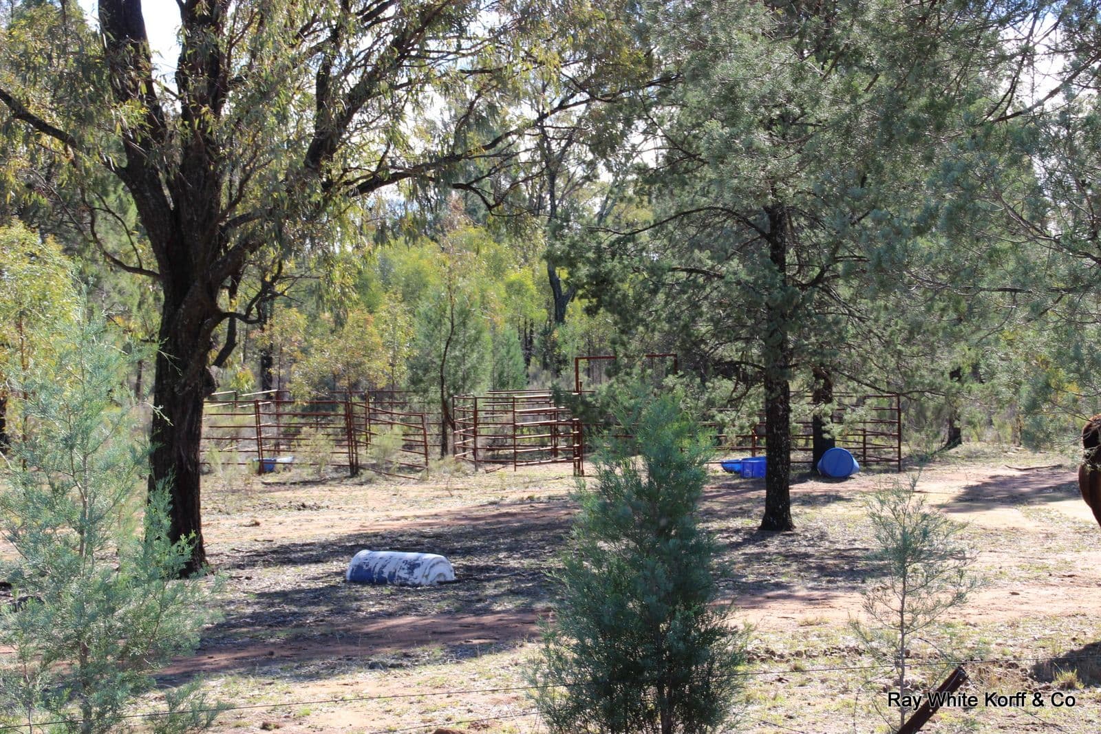 LOT 7 162 WERRIBEE Road, Premer NSW 2381, Premer - Thumbnail 6