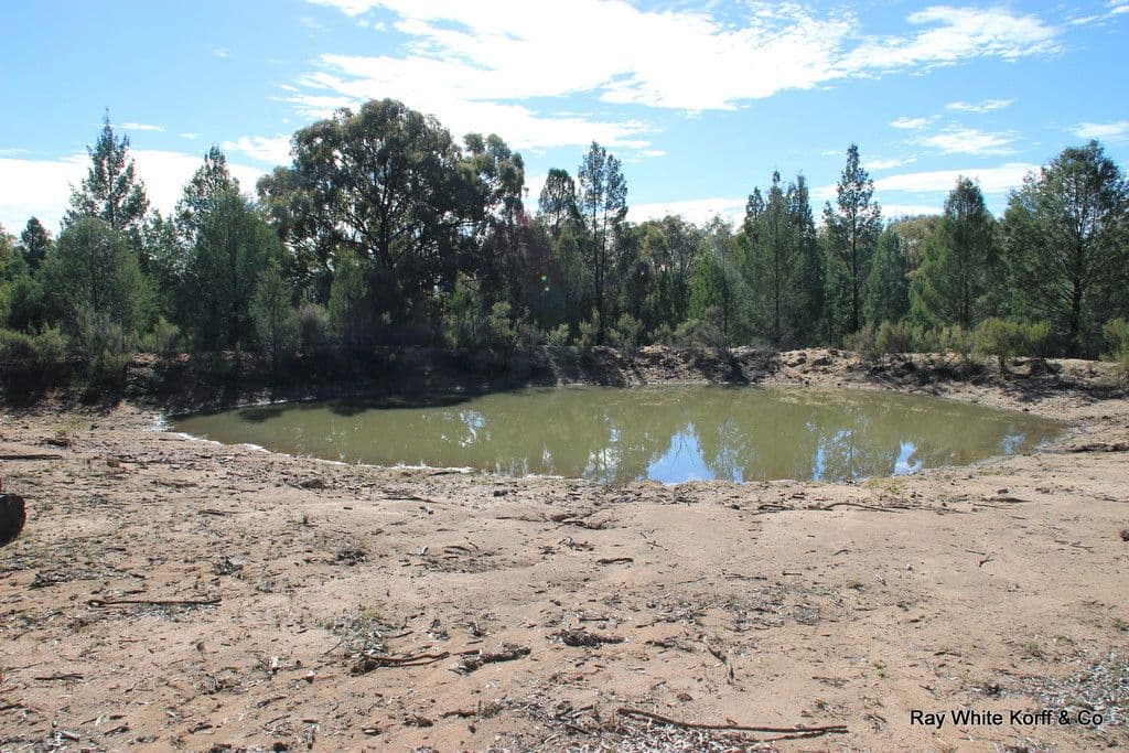 LOT 8 164 WERRIBEE Road, Premer NSW 2381, Premer - Thumbnail 7