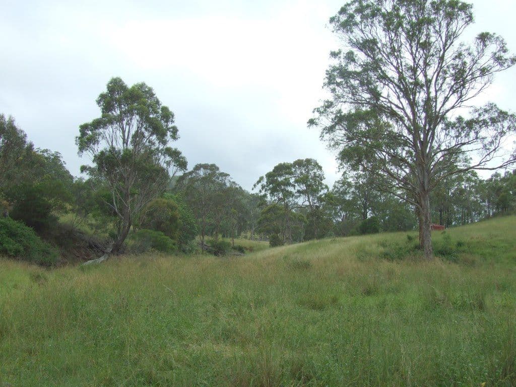 L400 Schick Road, Thornville QLD 4352, Thornville - Thumbnail 8