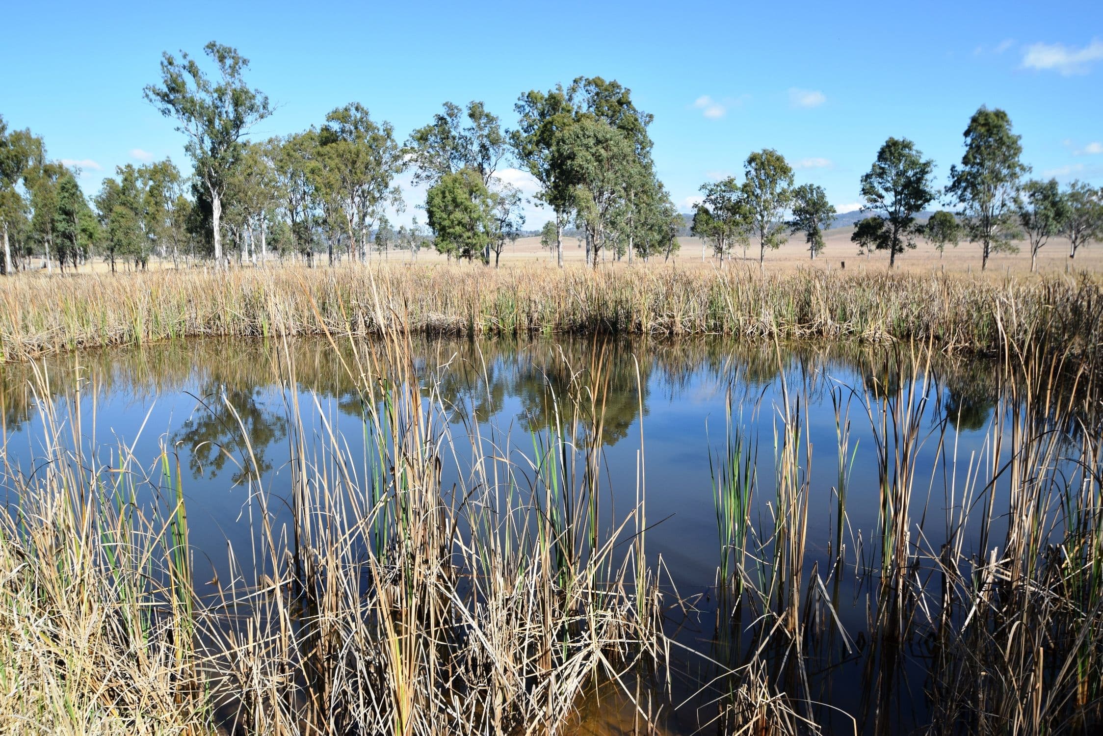 Lot 5 Brisbane Valley Highway, Braemore QLD 4313, Braemore - Thumbnail 6