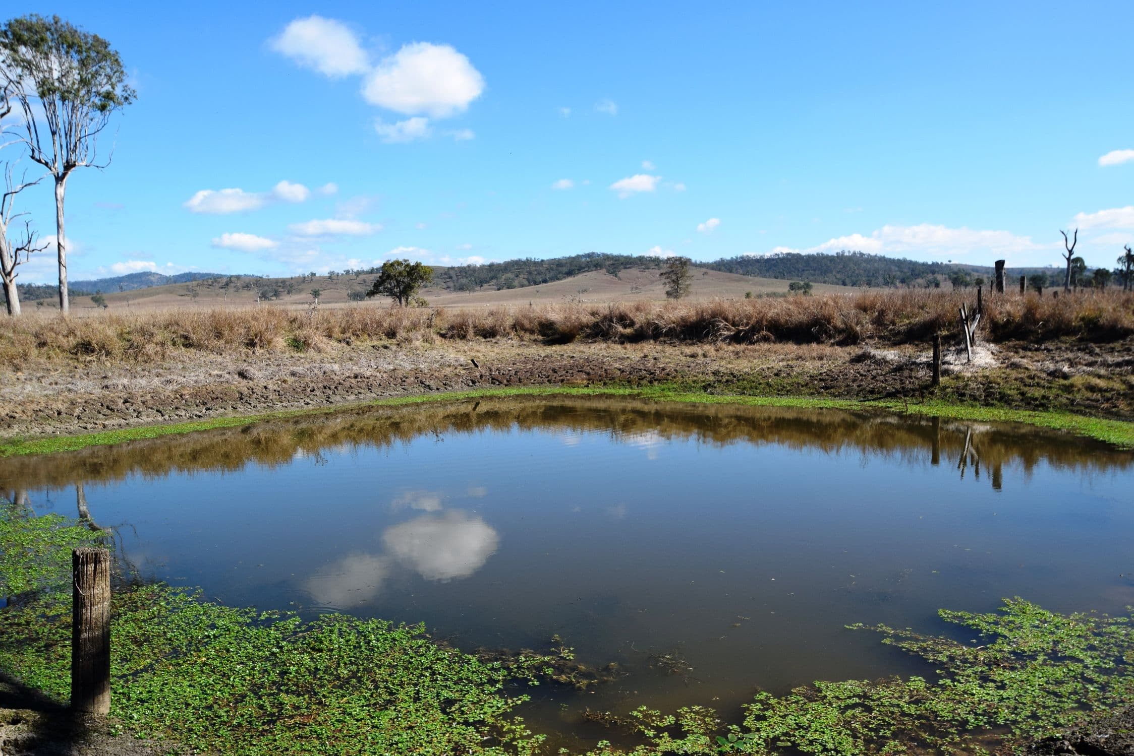 Lot 5 Brisbane Valley Highway, Braemore QLD 4313, Braemore - Thumbnail 3