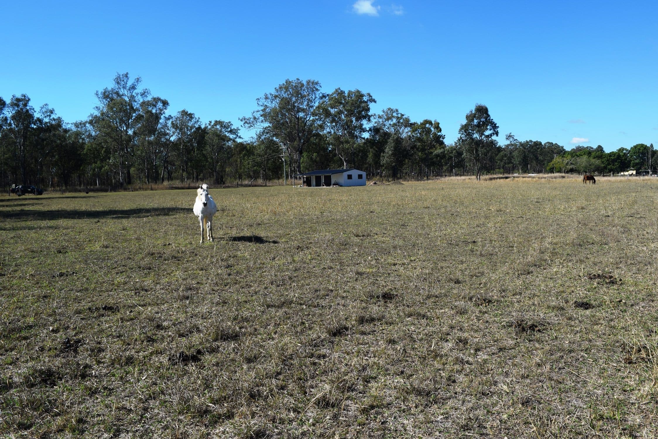 Lot 5 Brisbane Valley Highway, Braemore QLD 4313, Braemore - Thumbnail 8