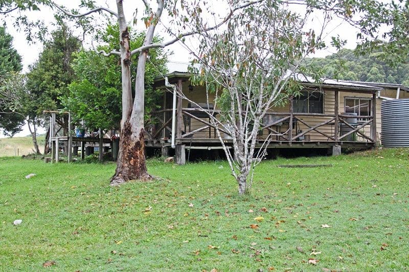 299 Riddles Brush Road, Johns River NSW 2443, Johns River - Thumbnail 4