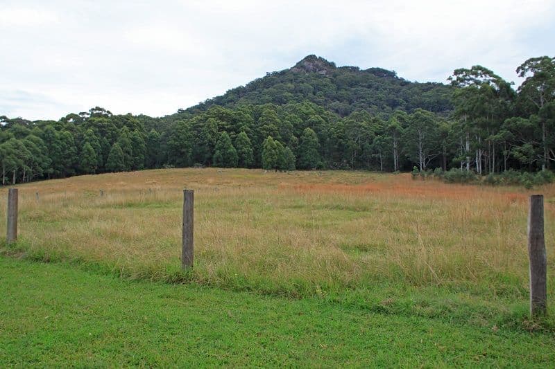 299 Riddles Brush Road, Johns River NSW 2443, Johns River - Thumbnail 3