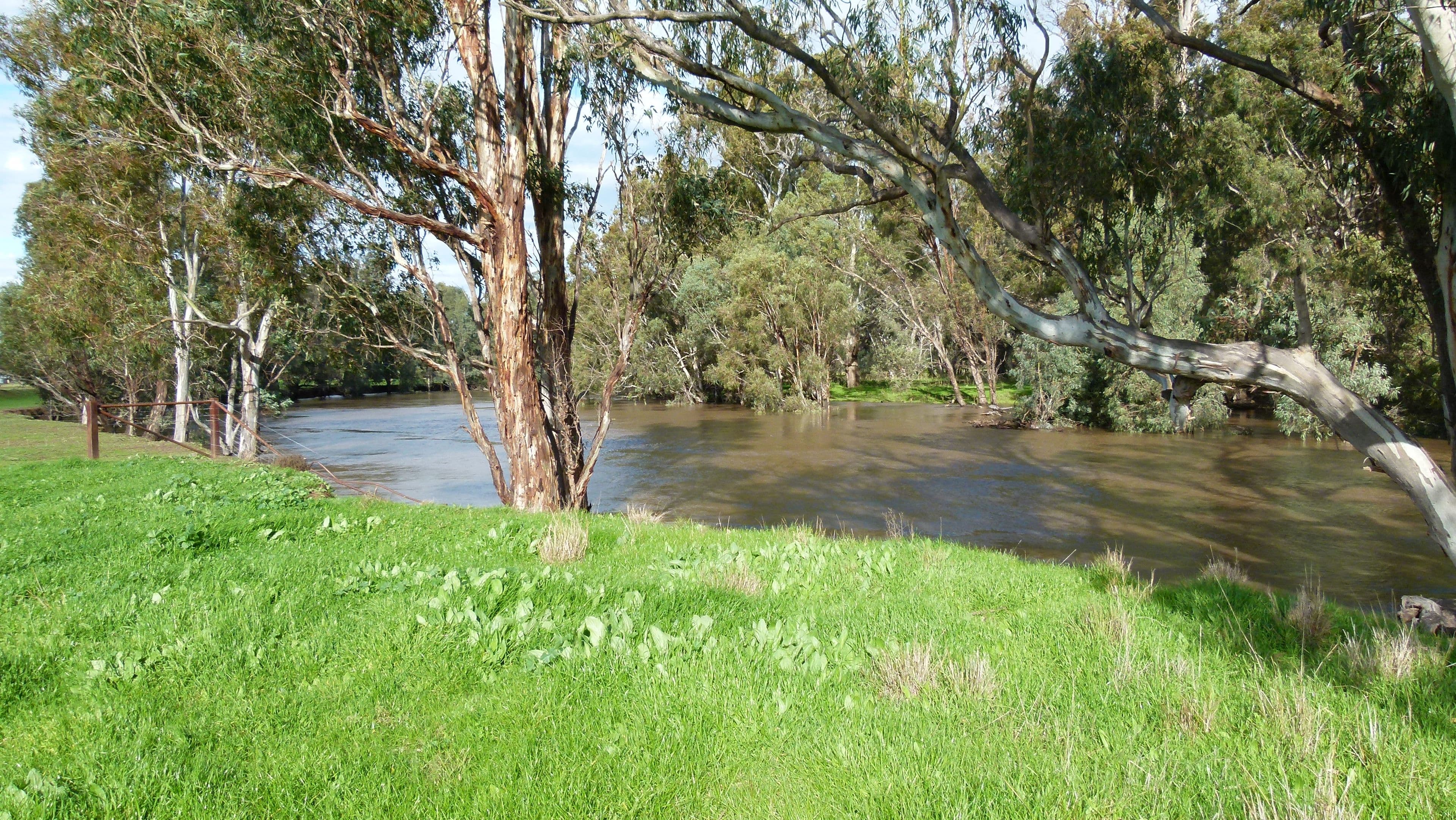 10585 The Escort Way, Forbes NSW 2871, Forbes - Image 1