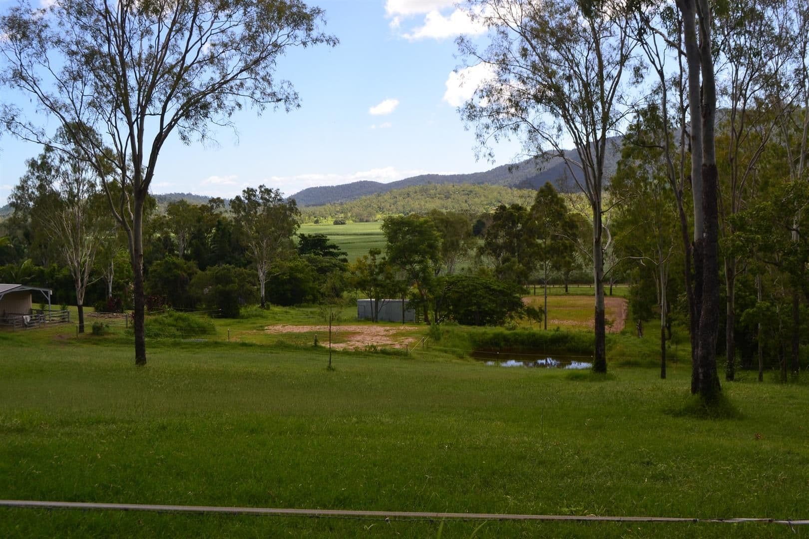 15a Black Road, Riordanvale QLD 4800, Riordanvale - Thumbnail 7