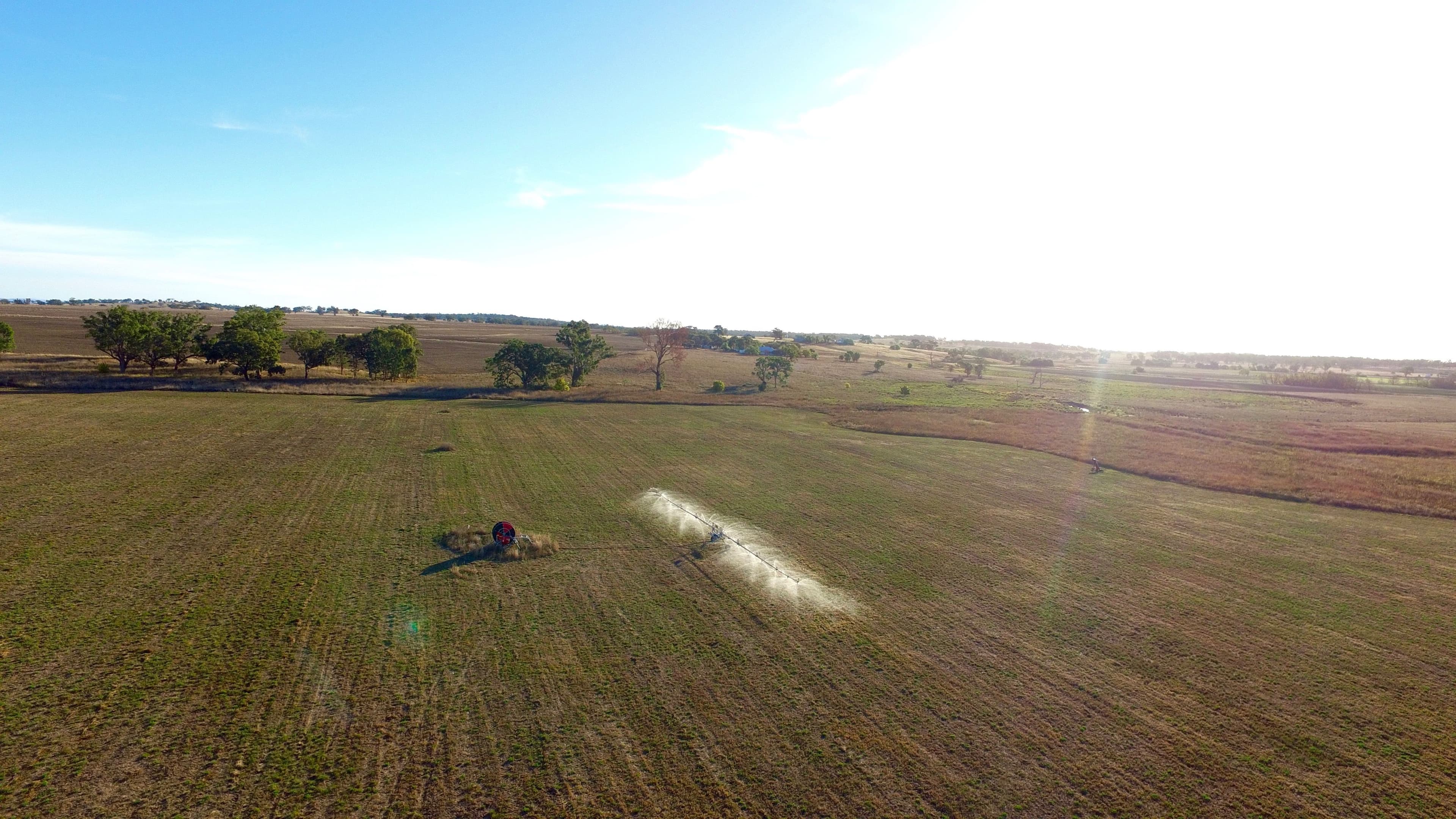 129 Irrigation Block Abbotts Lane, Inverell NSW 2360, Inverell - Image 1