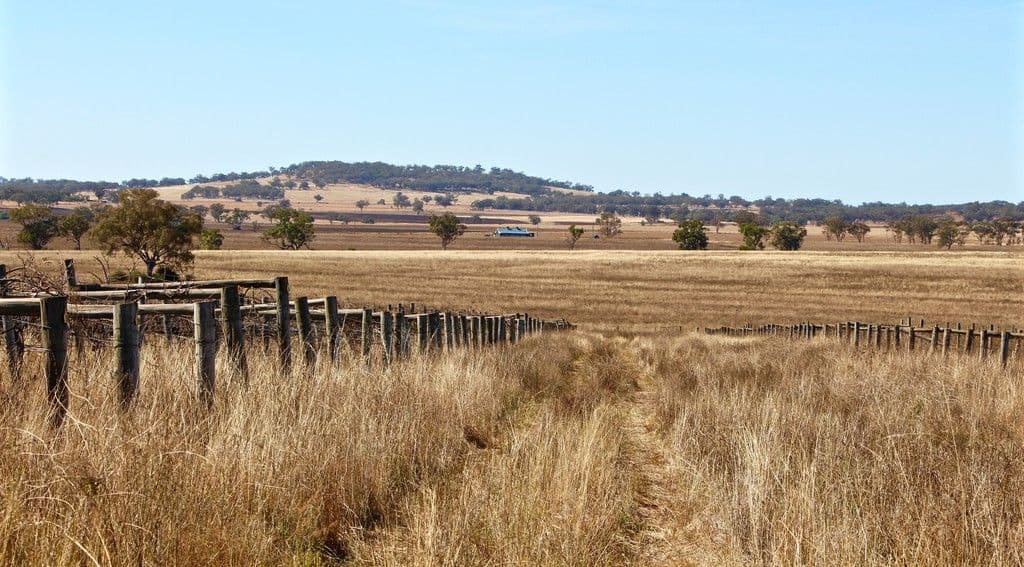 457 Woondooma Abbotts Lane, Inverell NSW 2360, Inverell - Thumbnail 8