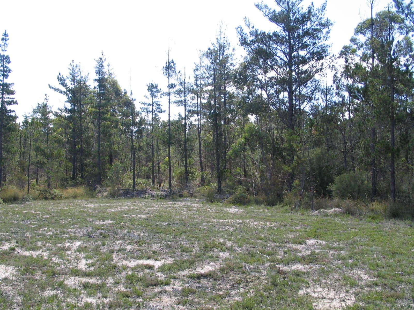122 Mogo Road, Goulburn NSW 2580, Goulburn - Thumbnail 7