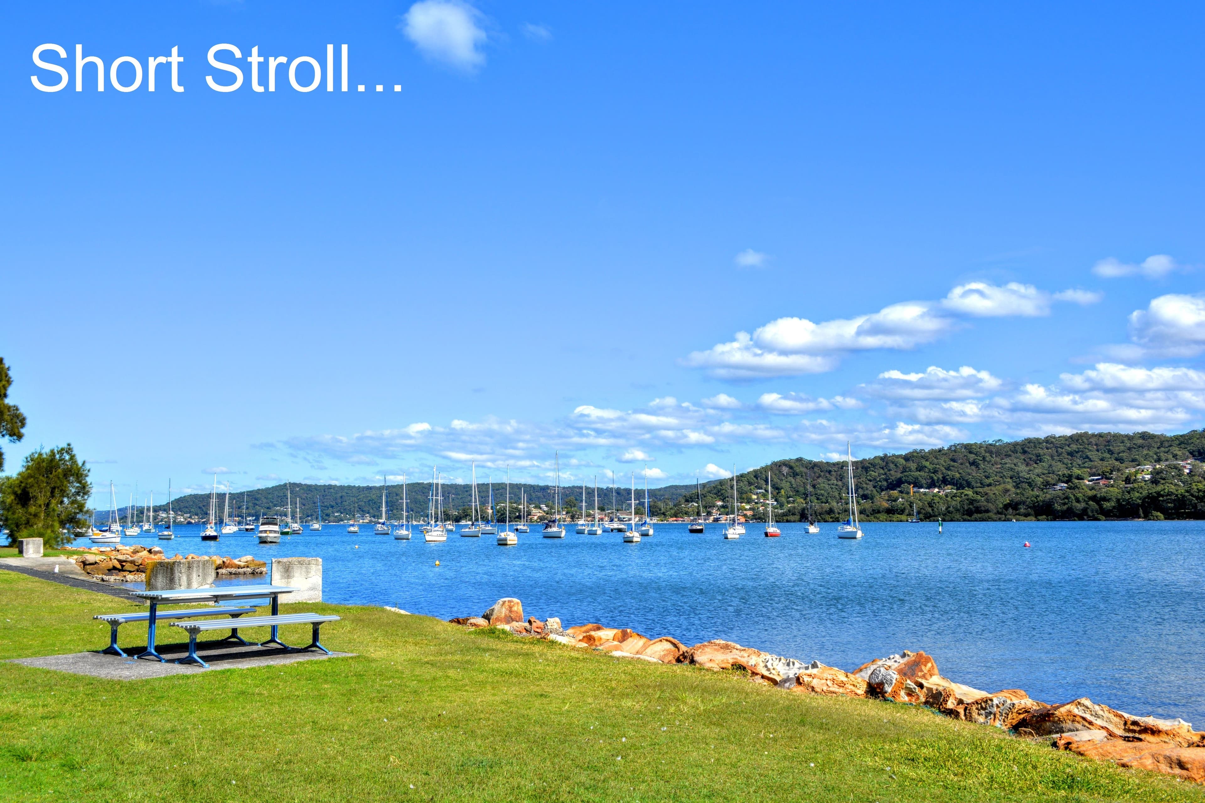 166 Albany Street, Point Frederick NSW 2250, Point Frederick - Thumbnail 2