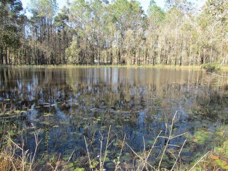 1 Mansfield Road, Elimbah QLD 4516, Elimbah - Thumbnail 5