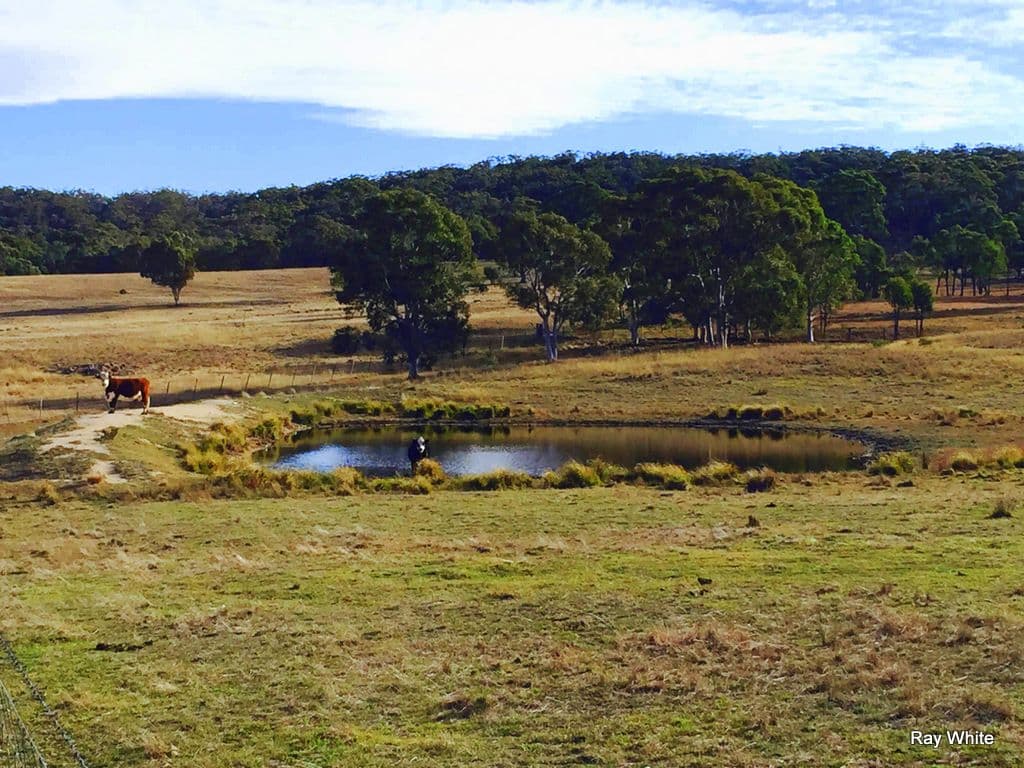 1040 Boro, Boro NSW 2622, Boro - Image 1