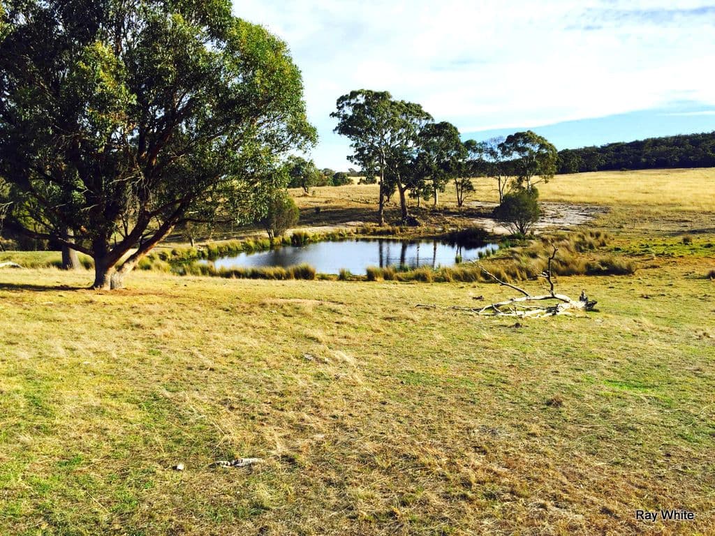 1040 Boro, Boro NSW 2622, Boro - Thumbnail 4