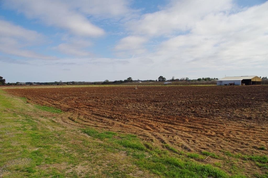 298 Kulkyne Street, Renmark SA 5341, Renmark - Thumbnail 3