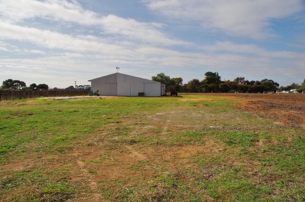 298 Kulkyne Street, Renmark SA 5341, Renmark - Thumbnail 8