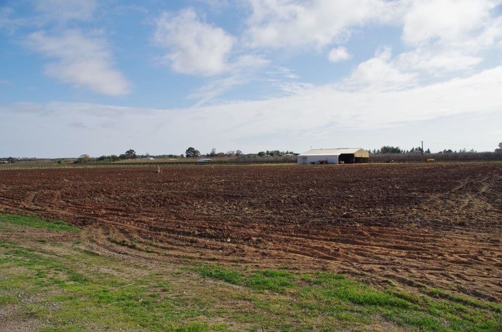 298 Kulkyne Street, Renmark SA 5341, Renmark - Thumbnail 2