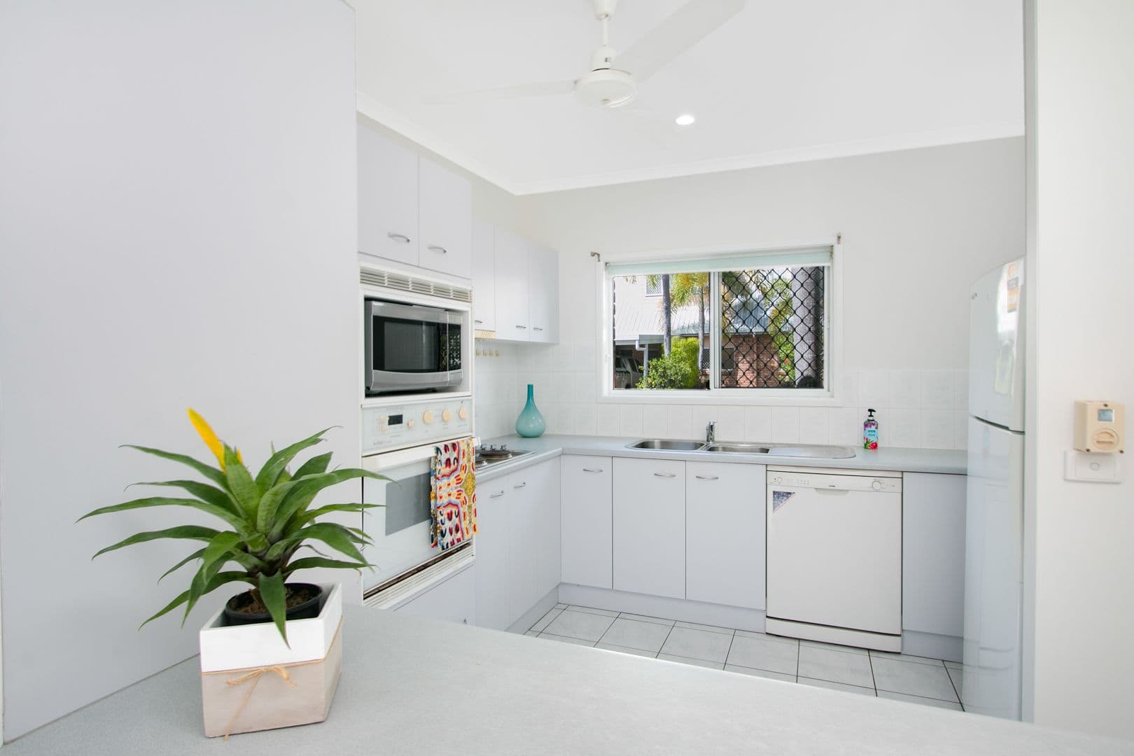 79 Moore Street, Trinity Beach QLD 4879, Trinity Beach - Thumbnail 3
