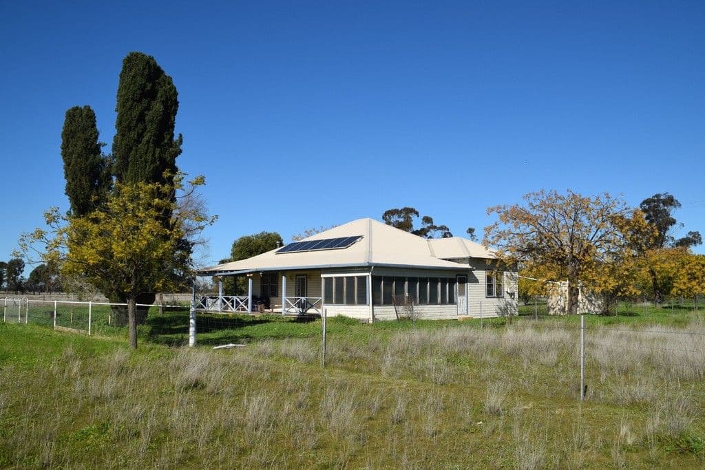 'Clairdon' 2395 Leeches Creek Road, Collie NSW 2827, Collie - Thumbnail 8