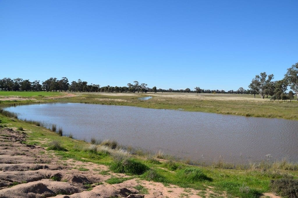 'Clairdon' 2395 Leeches Creek Road, Collie NSW 2827, Collie - Thumbnail 6