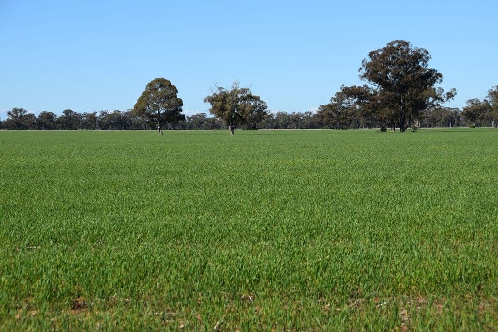 'Clairdon' 2395 Leeches Creek Road, Collie NSW 2827, Collie - Thumbnail 2