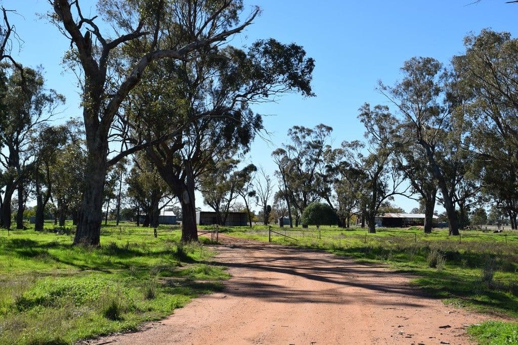 'Clairdon' 2395 Leeches Creek Road, Collie NSW 2827, Collie - Thumbnail 7