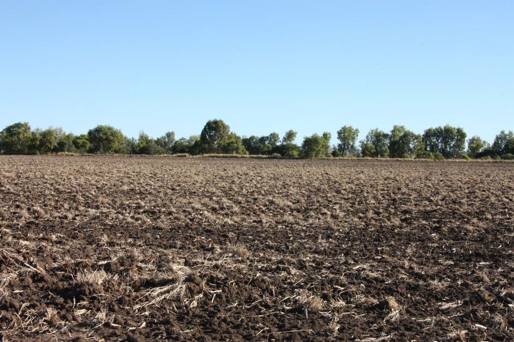 260 Lookerbie Road, Thangool QLD 4716, Thangool - Thumbnail 2