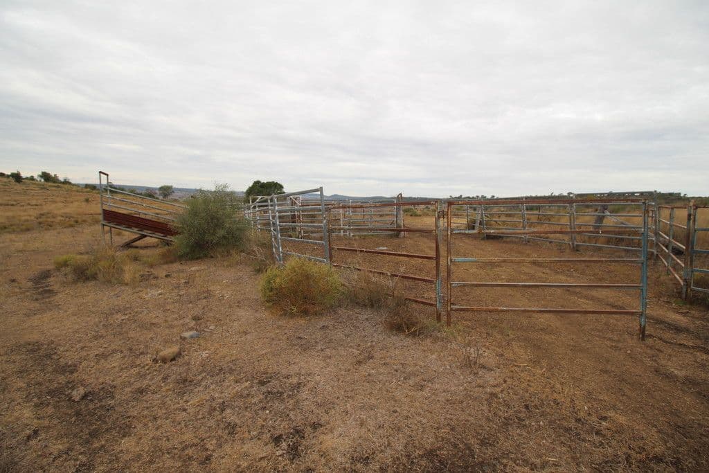 0 Cronin Road, Linthorpe QLD 4356, Linthorpe - Thumbnail 4