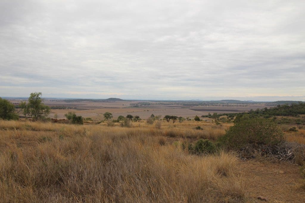 0 Cronin Road, Linthorpe QLD 4356, Linthorpe - Thumbnail 8