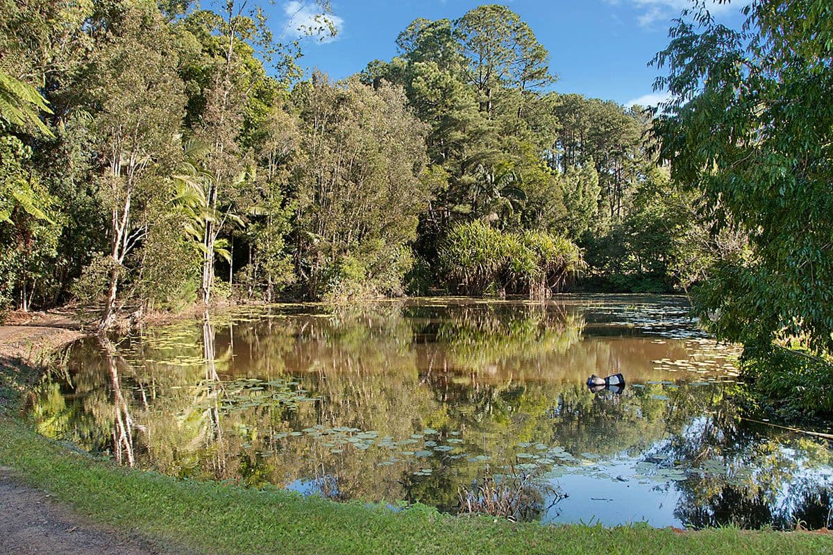 106-108 Winston Road, Palmwoods QLD 4555, Palmwoods - Thumbnail 4