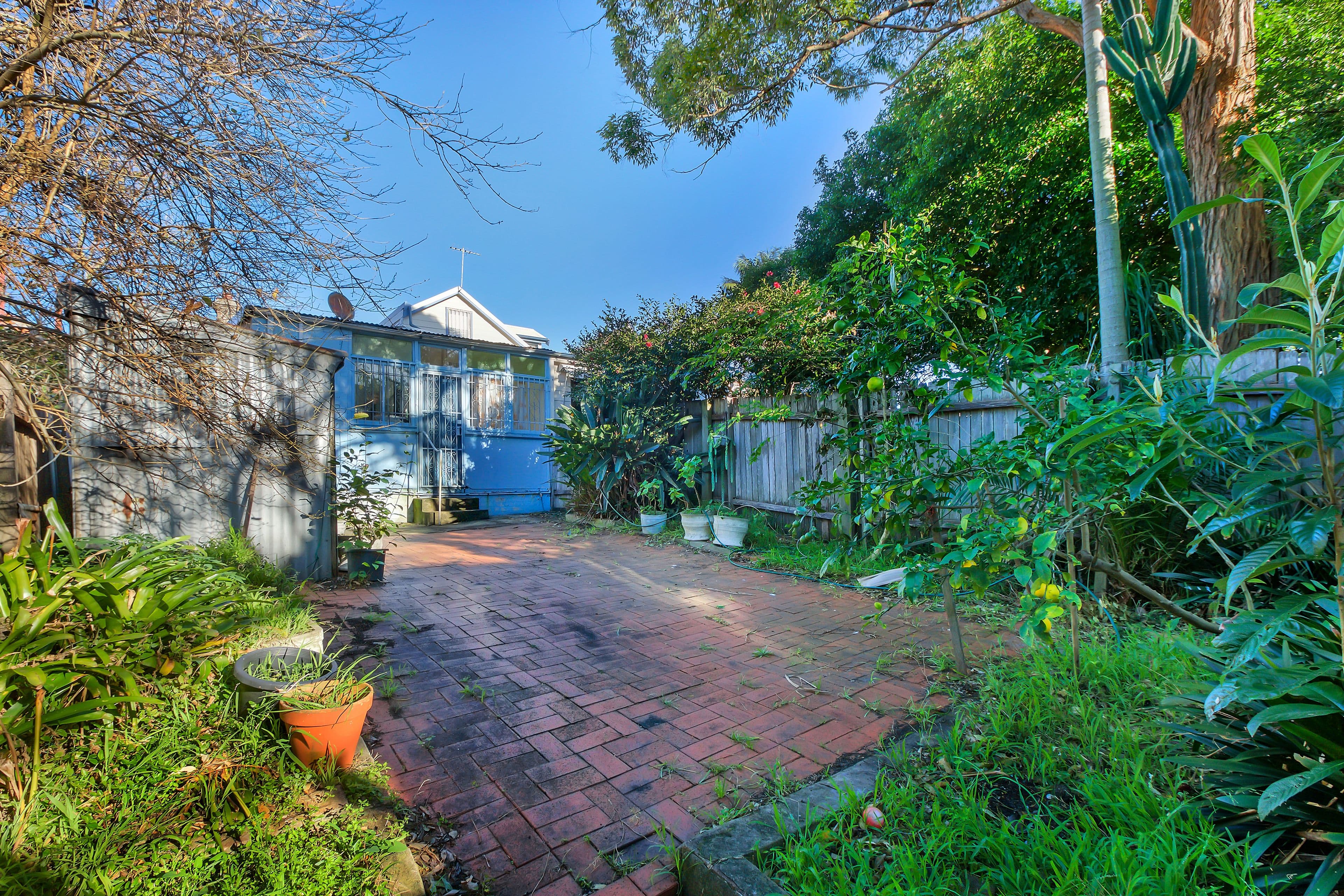 11 Ethne Avenue, Randwick - Thumbnail 3