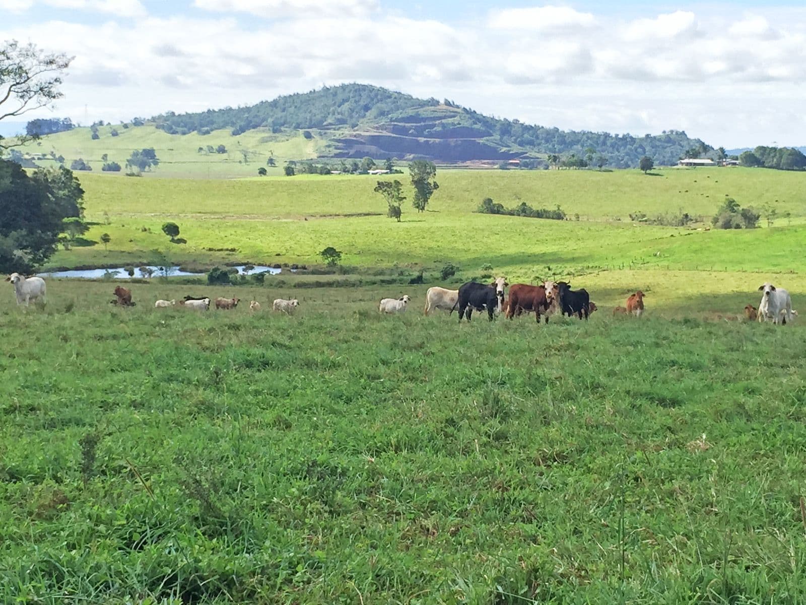 Upper Barron QLD 4883, Upper Barron - Image 1