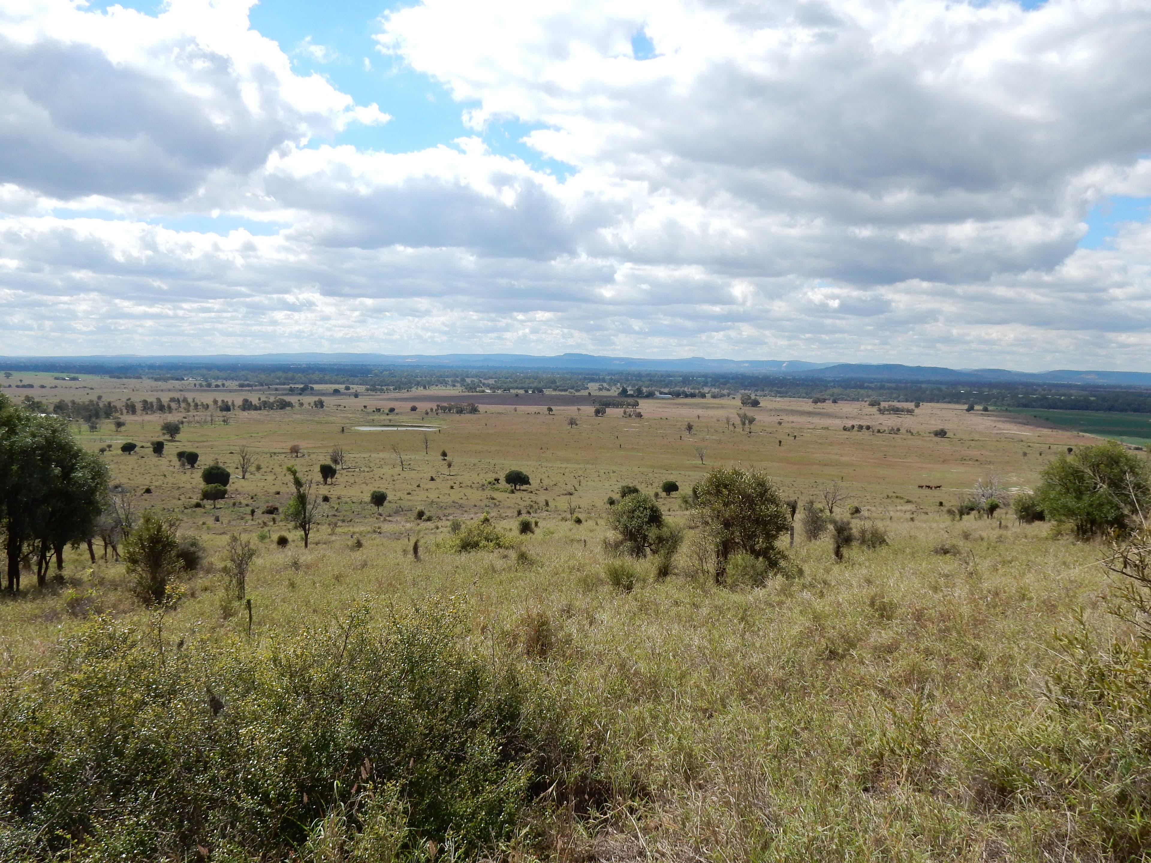0 Semples Road, Biloela QLD 4715, Biloela - Thumbnail 2