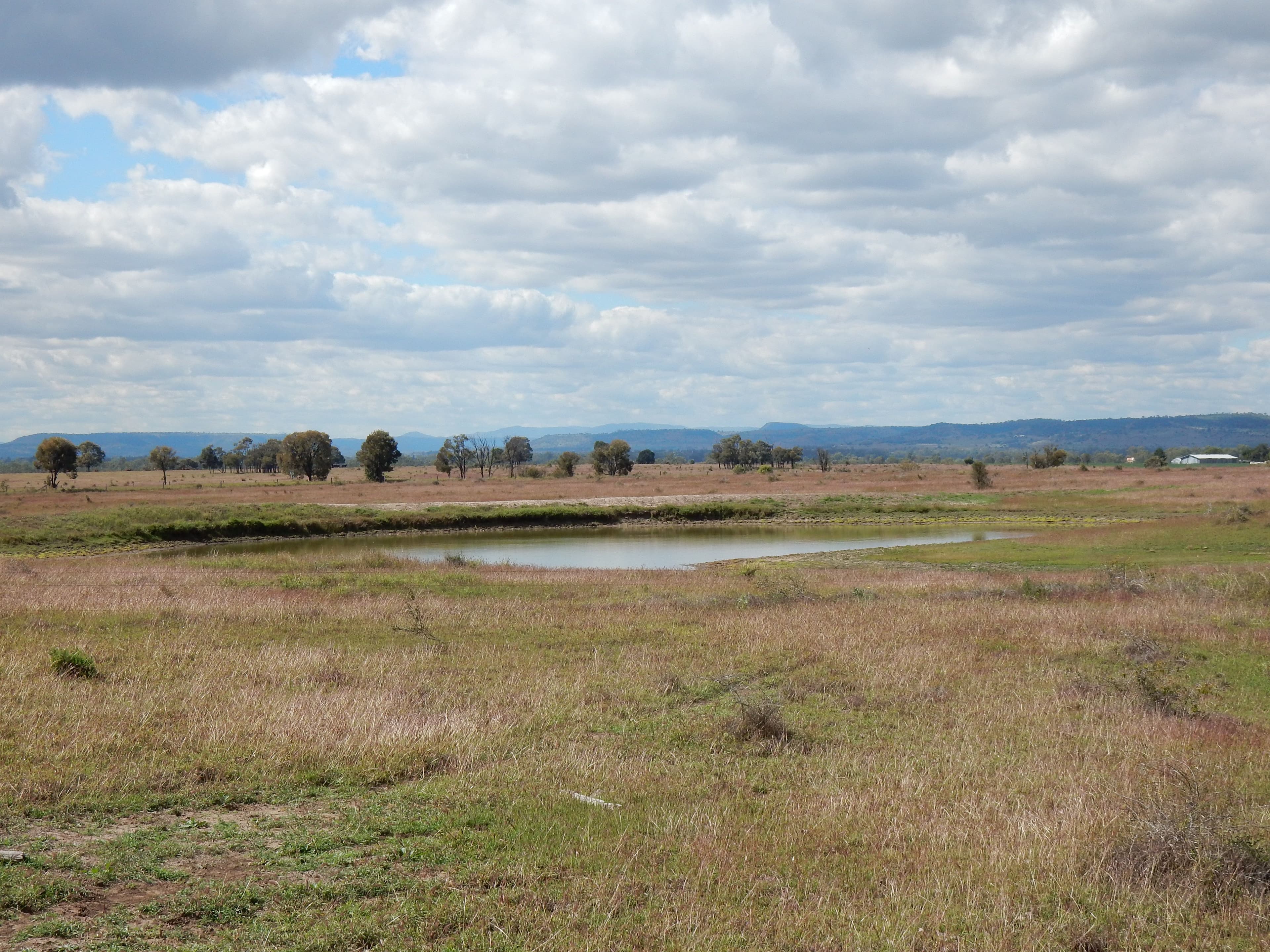 0 Semples Road, Biloela QLD 4715, Biloela - Image 1