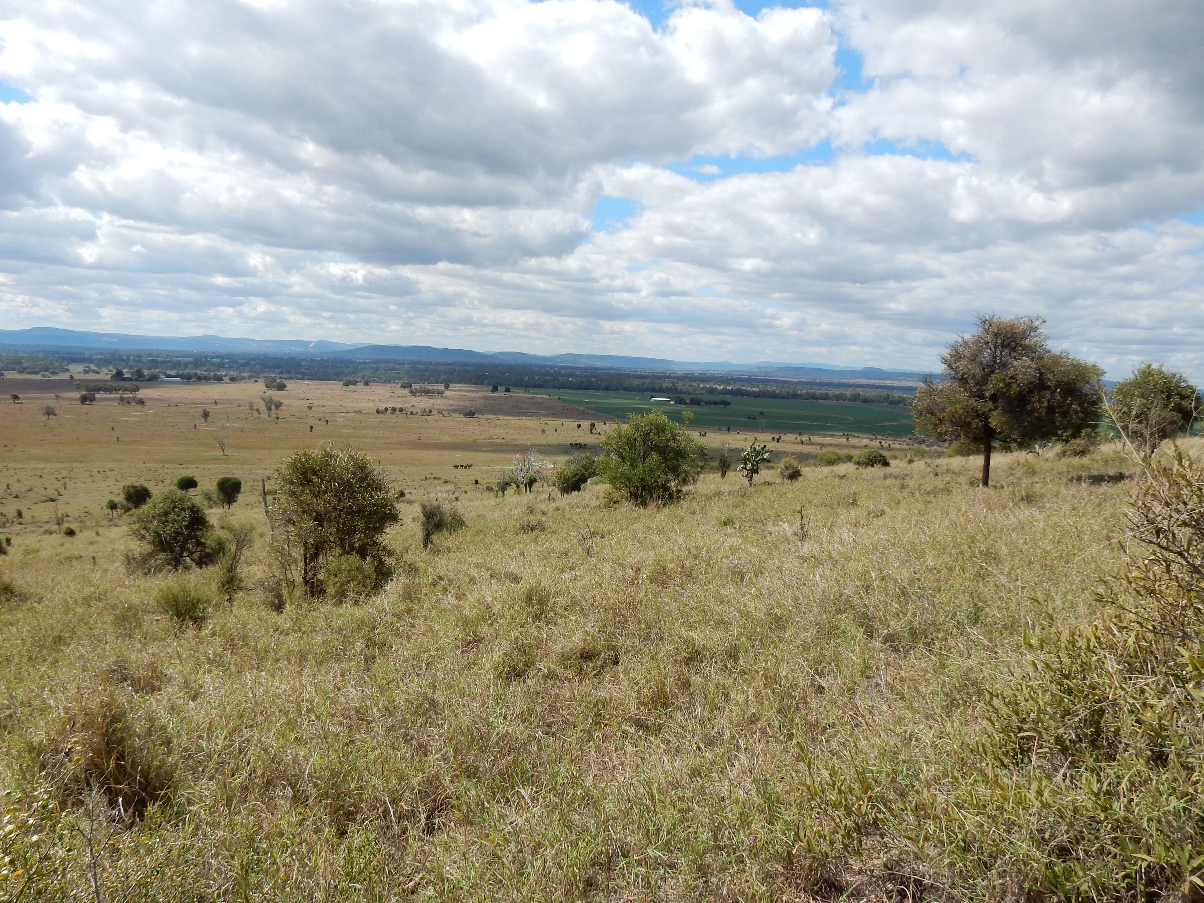 0 Semples Road, Biloela QLD 4715, Biloela - Thumbnail 3