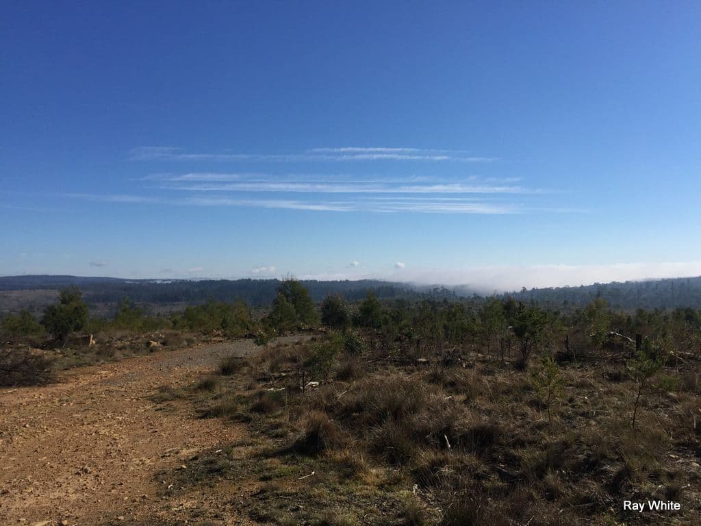 779 Back Creek, Braidwood NSW 2622, Braidwood - Thumbnail 2