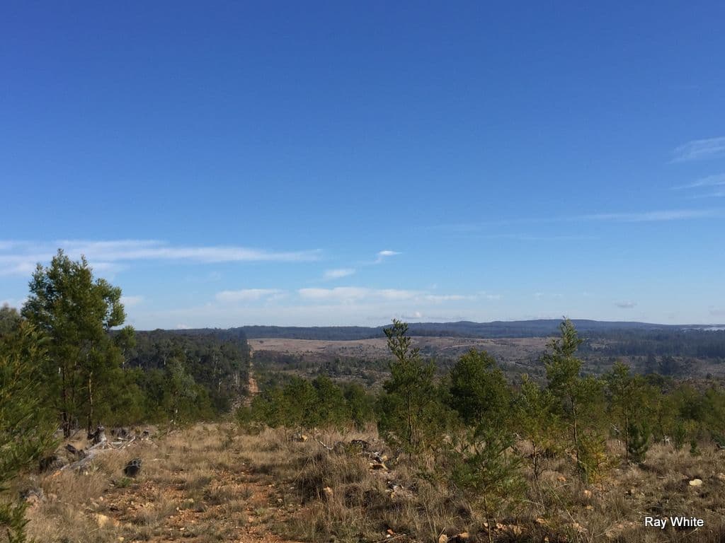 779 Back Creek, Braidwood NSW 2622, Braidwood - Thumbnail 3