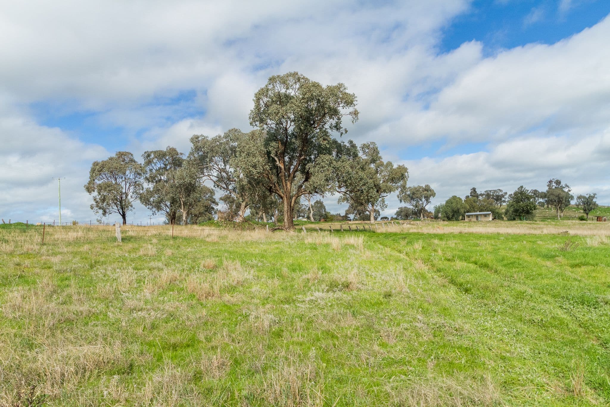 Lot 1 Wicks Street, Canowindra NSW 2804, Canowindra - Thumbnail 3