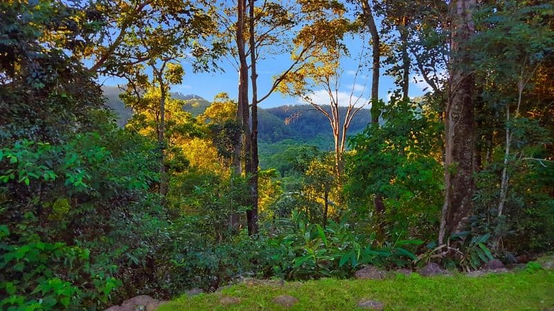 132 Mafeking Road, Goonengerry NSW 2482, Goonengerry - Thumbnail 3