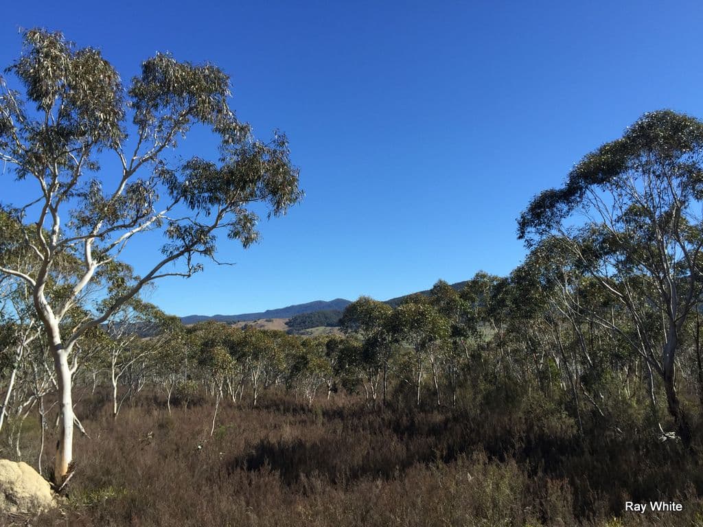1315 Cooma Road, Braidwood NSW 2622, Braidwood - Thumbnail 4