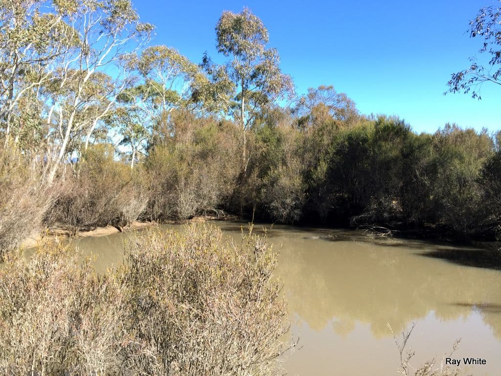 1315 Cooma Road, Braidwood NSW 2622, Braidwood - Thumbnail 5