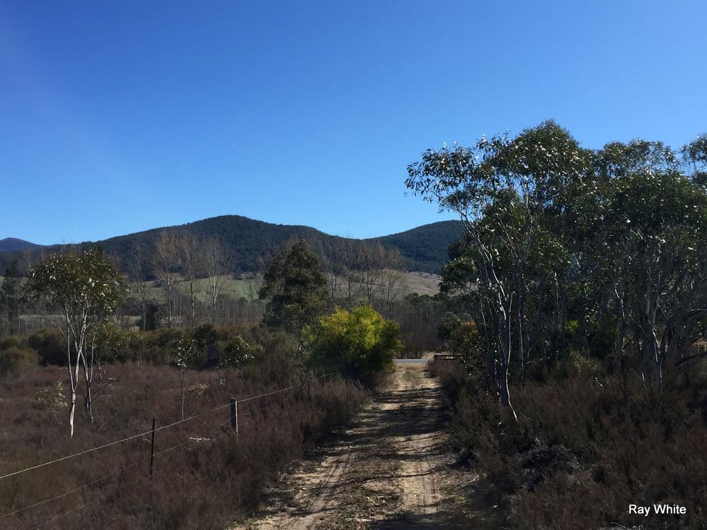 1315 Cooma Road, Braidwood NSW 2622, Braidwood - Image 1